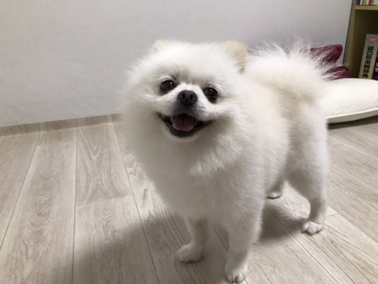 박*산 이미지