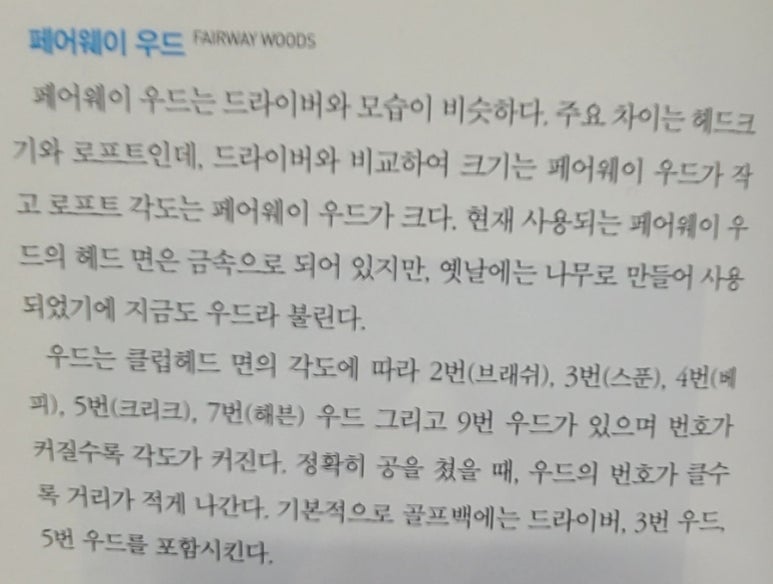 우드들 이미지