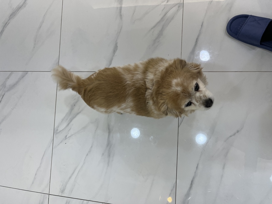 더작 마곡점 이미지