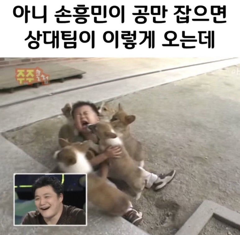 제뉴어리 이미지