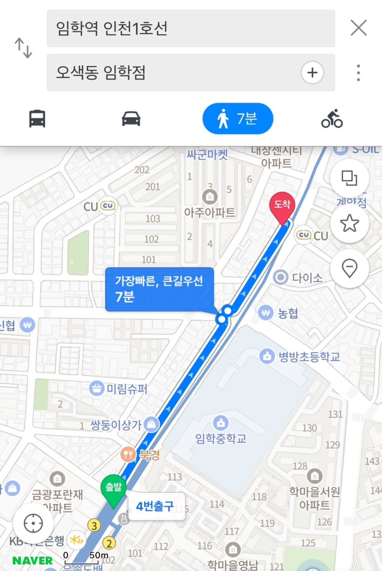오색동임학점 이미지