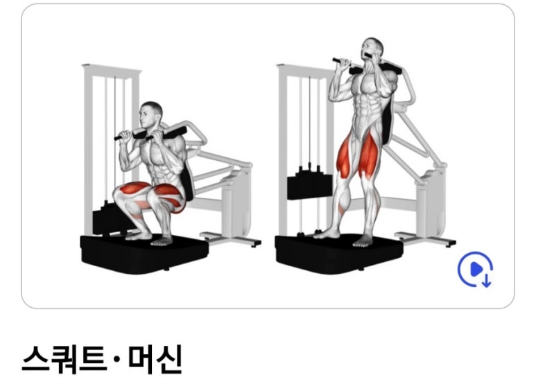 황금돈가 이미지