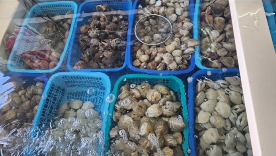 큰바다수산-2 이미지