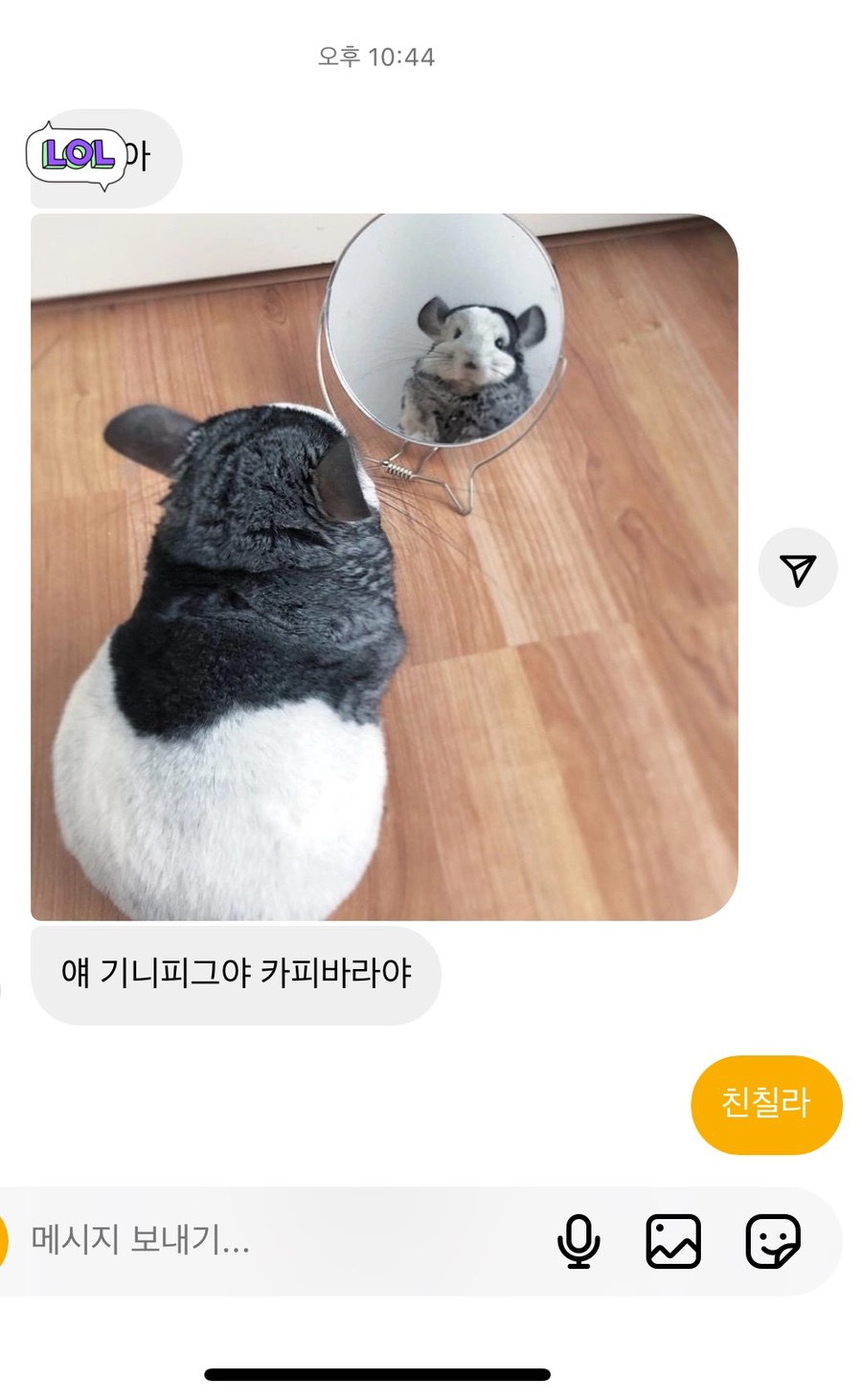 버거리 이미지