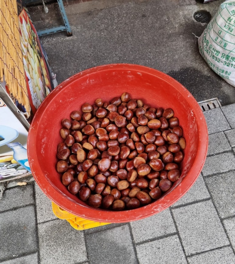 정다운떡집 이미지
