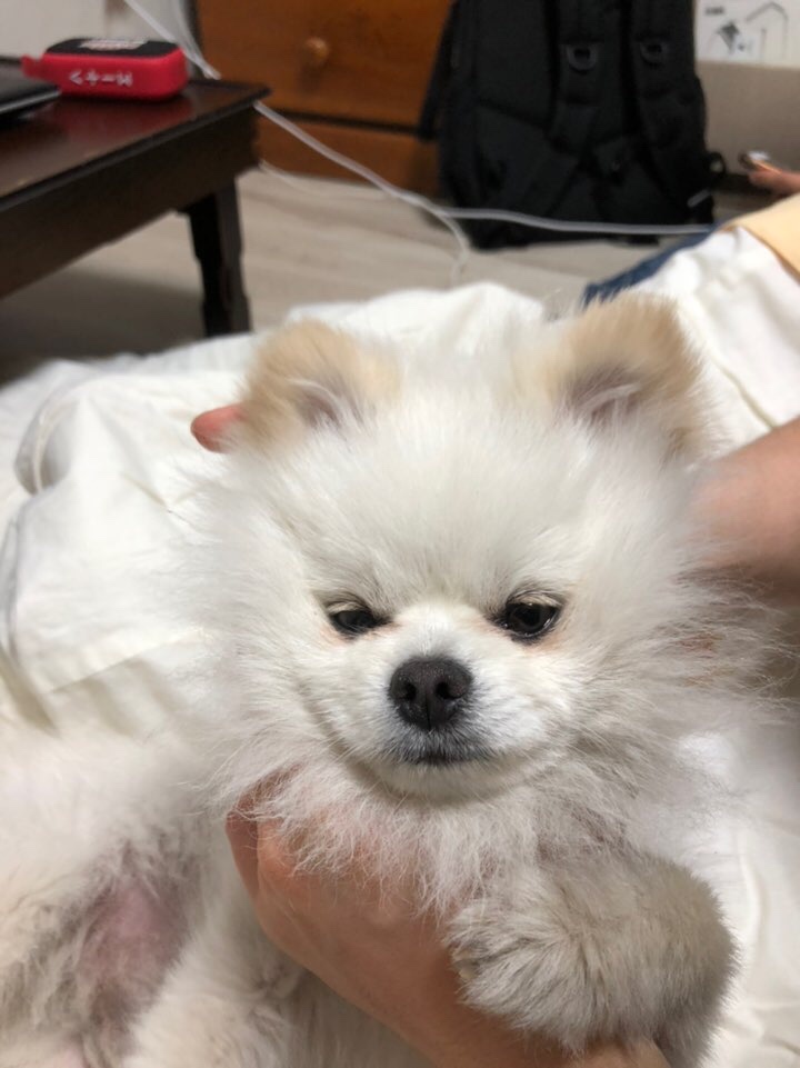 박*산 이미지