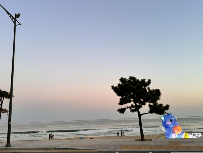 선데이모먼트 이미지