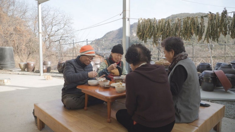 오지닭 이미지