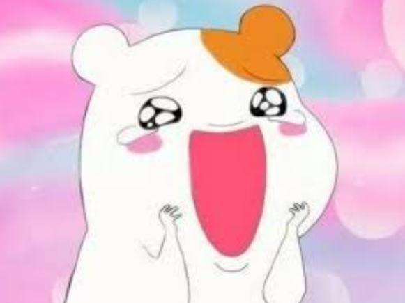 엑스룸 이미지