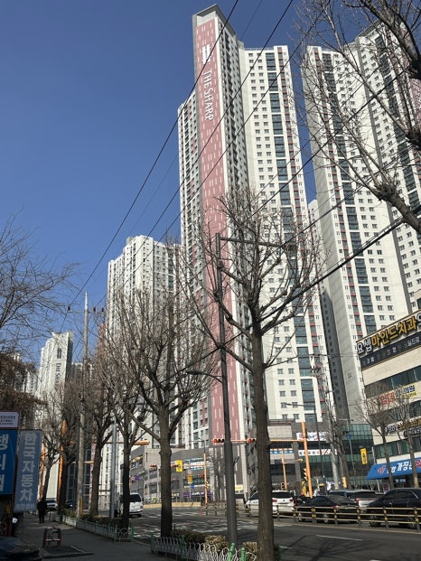 93숯불닭갈비 이미지