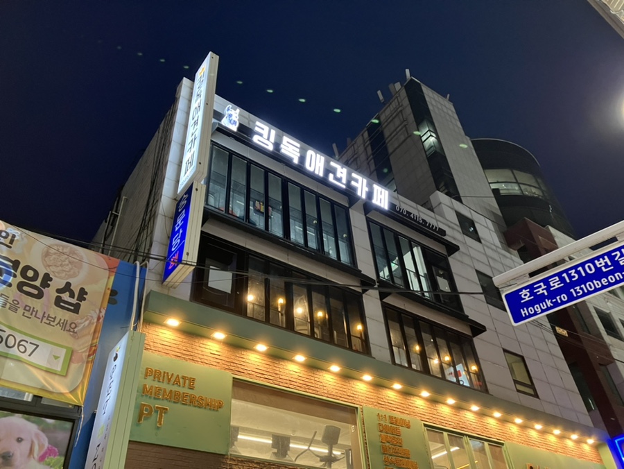 킹독 이미지