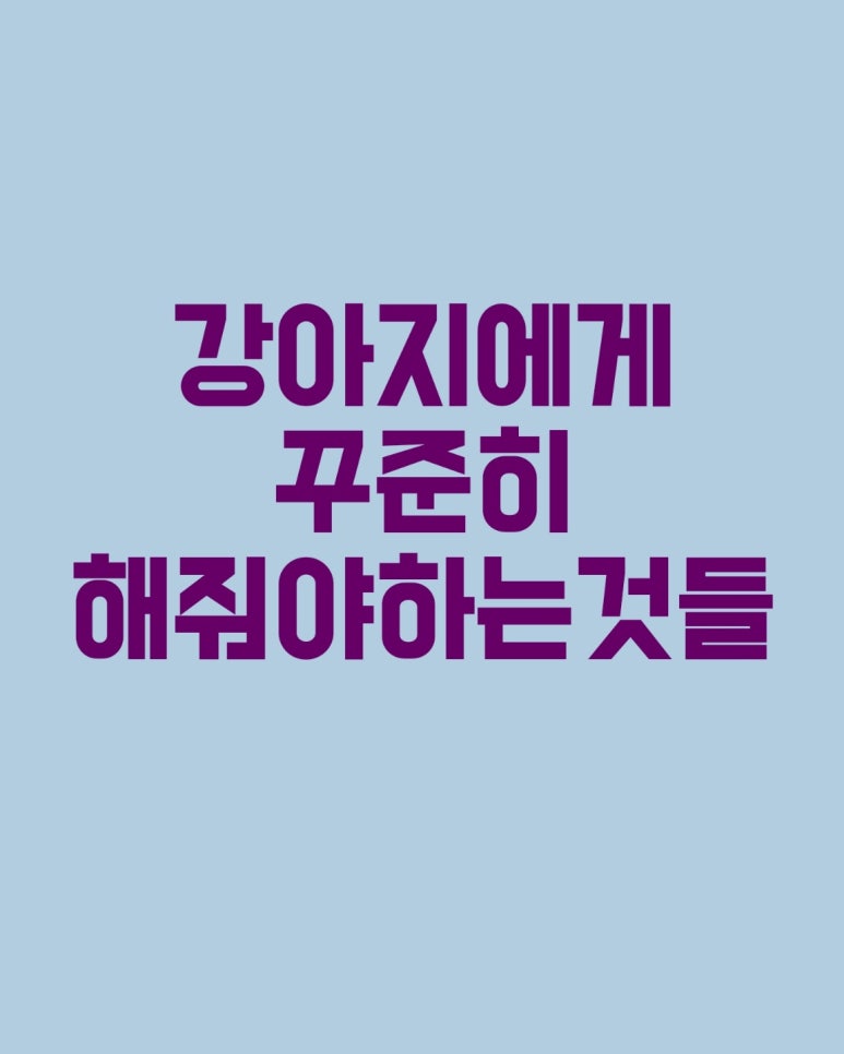 강아지에게 꾸준히 해줘야하는것들