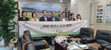 알프스행정 이미지