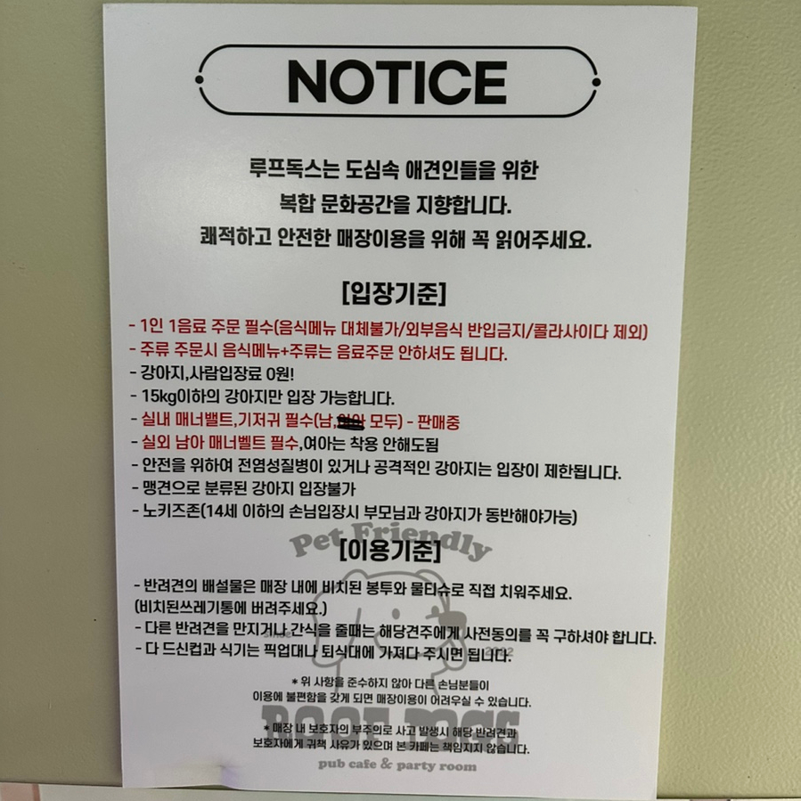 수원 행궁동 애견카페 루프독스, 루프탑 운동장 후기 — 사진 2