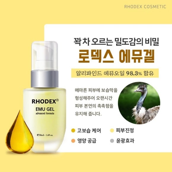 로덱스 이미지
