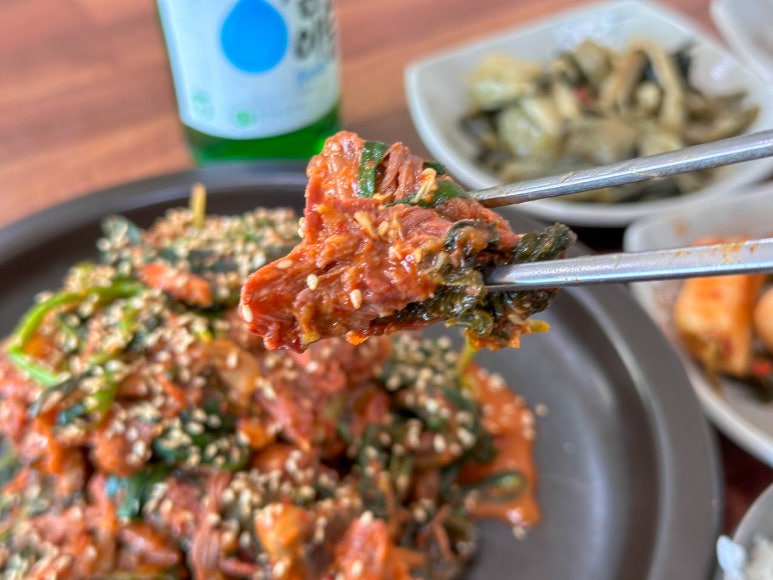 청솔흑염소 이미지