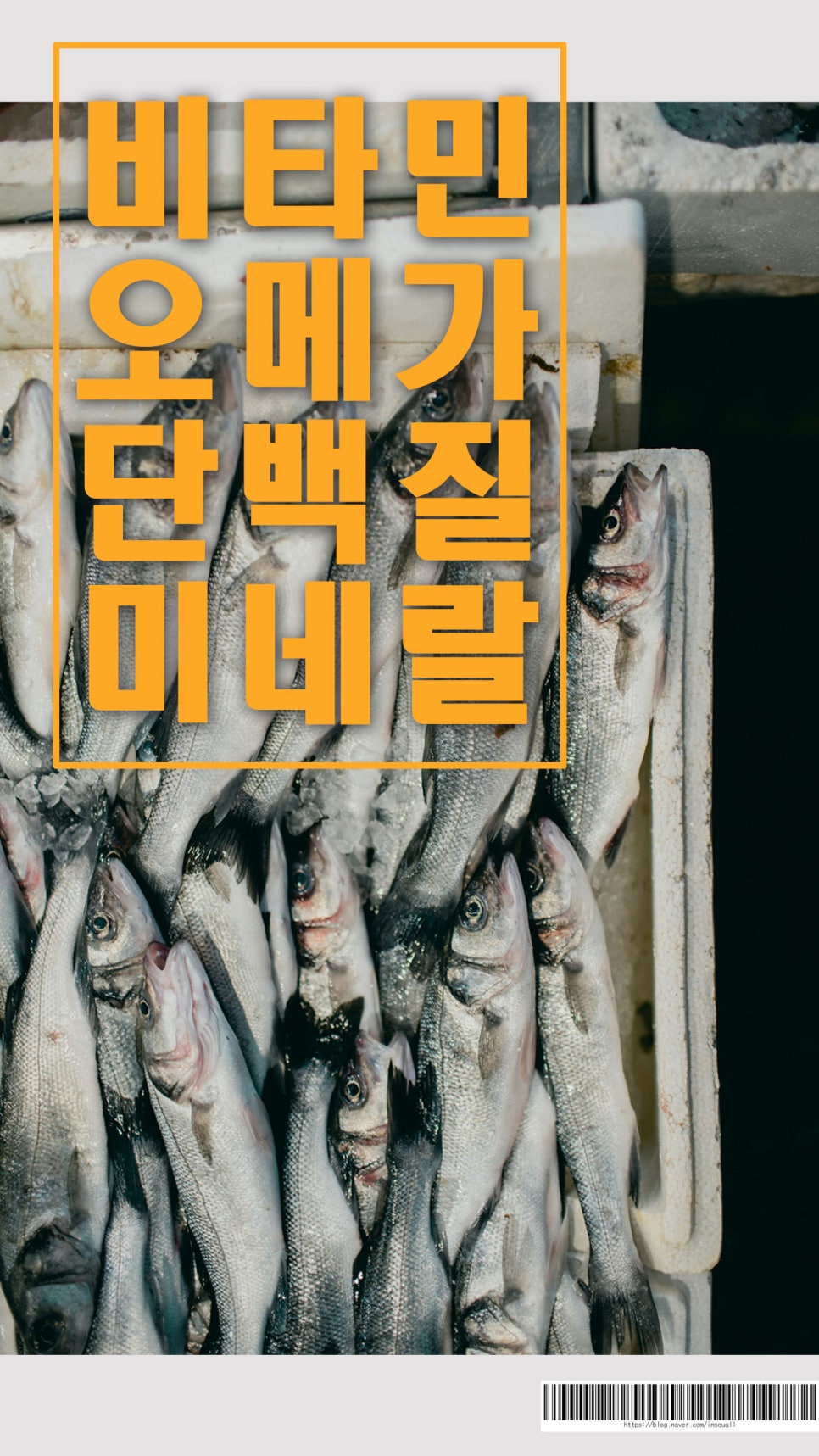 농협하나로드림수산 이미지