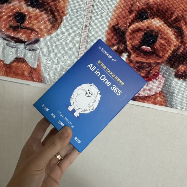 푸른종합개발 이미지