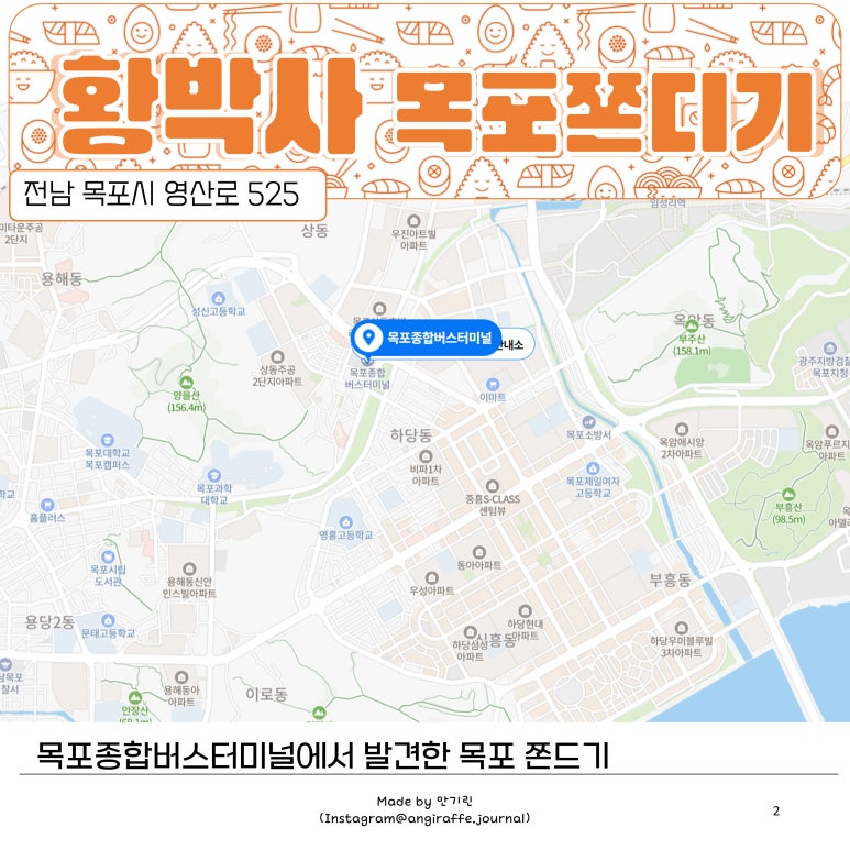 황박사목포쫀디기목포종합버스 이미지