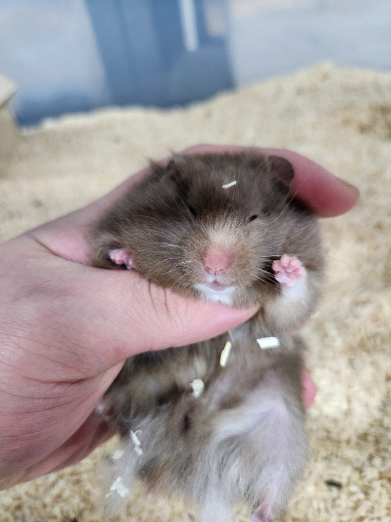 (주)모프 이미지