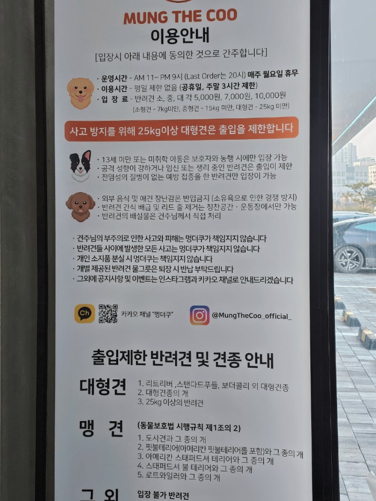 카페 더쿠 이미지