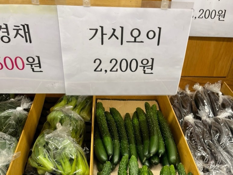 버텍스.부경대점 이미지