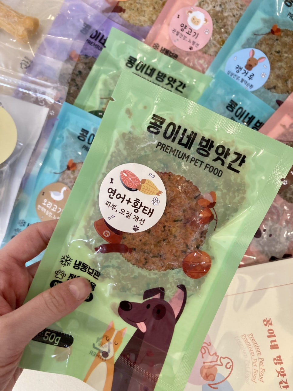 콩이네 이미지