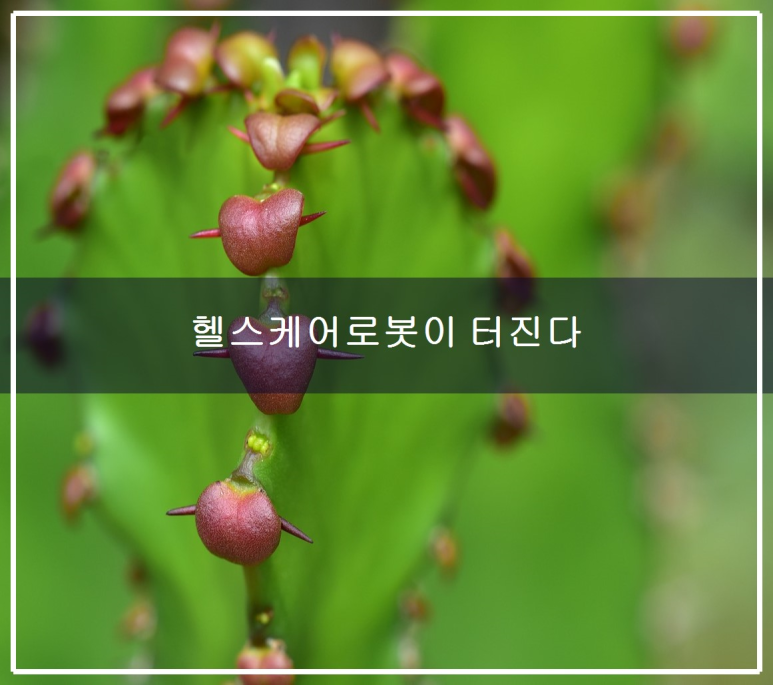 히어로 헬스케어 이미지