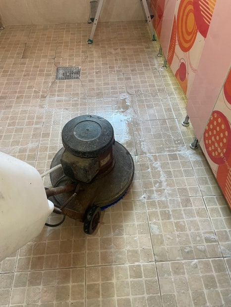 라이언클린 이미지