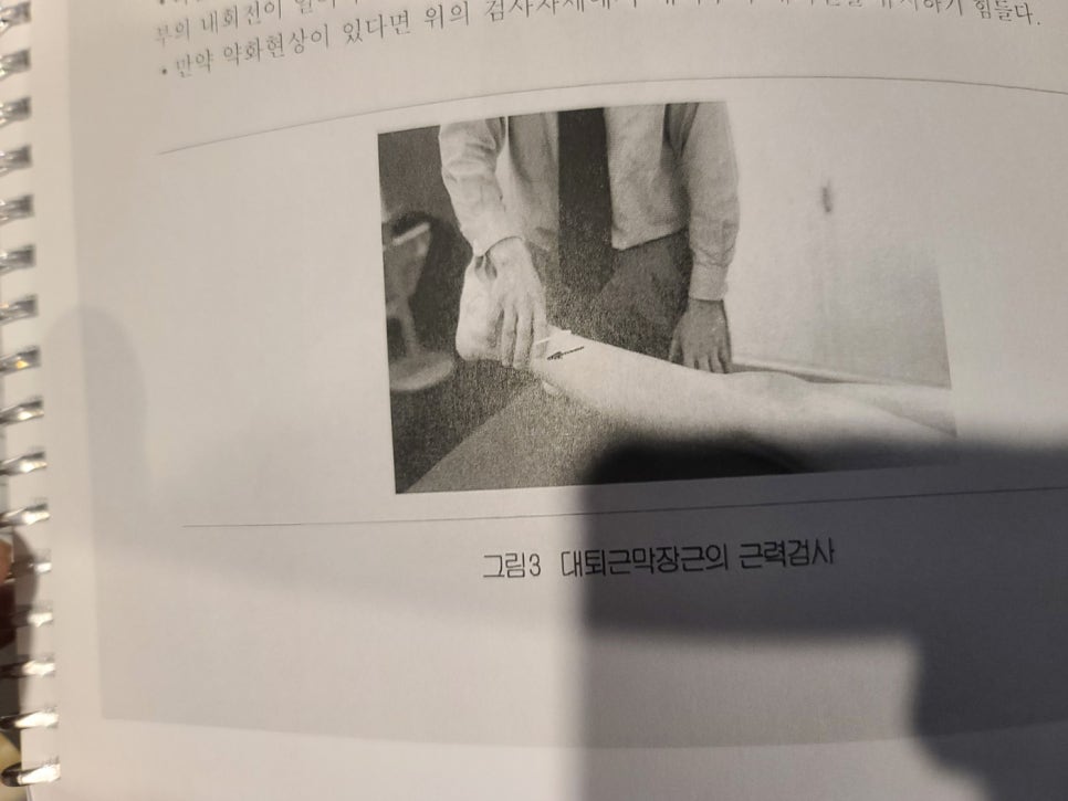 디디스포츠 이미지
