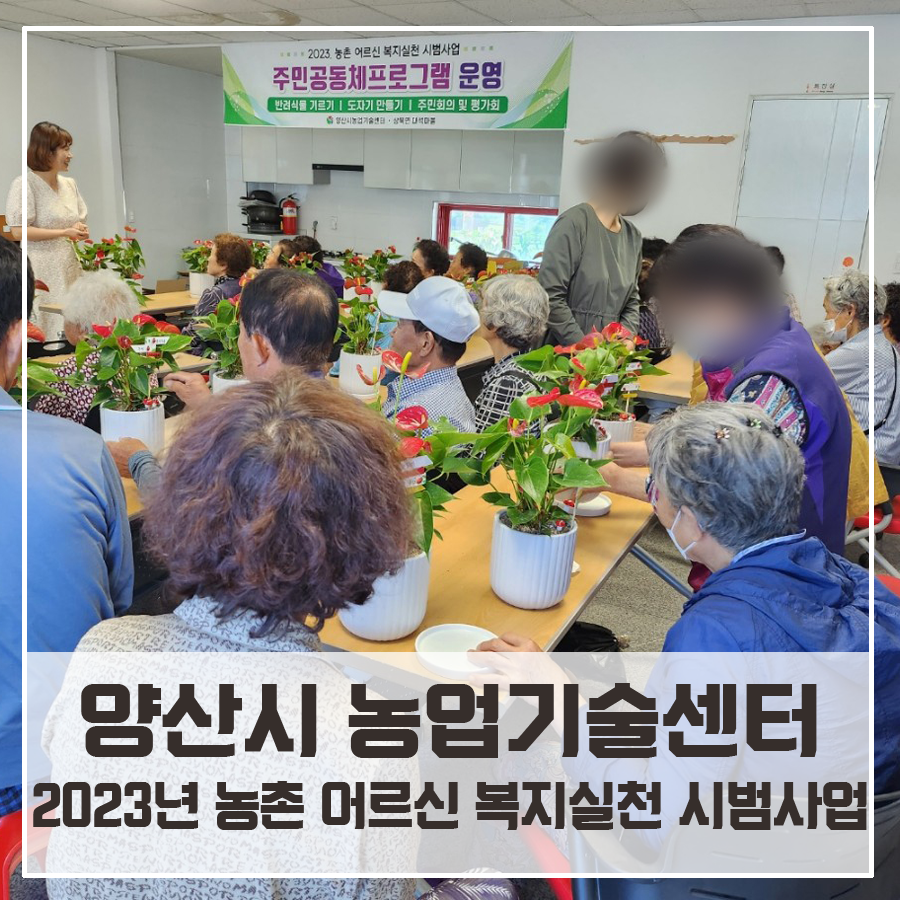 자연in원예센터 이미지