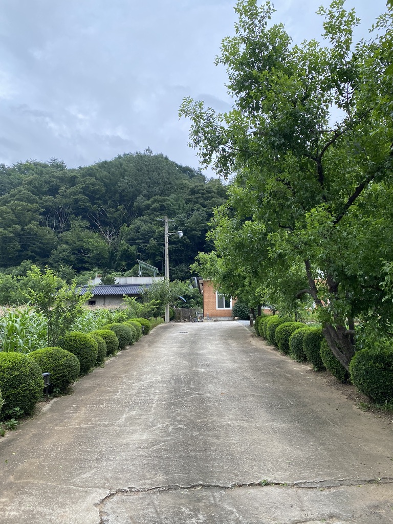 사인암472 이미지