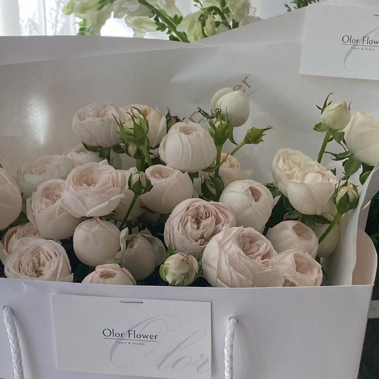 올로르플라워OlorFlower 이미지
