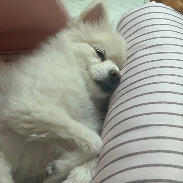 아름드리펜션 이미지