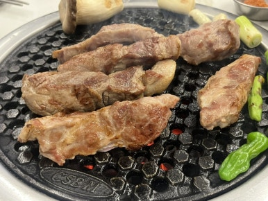 미트혁 이미지