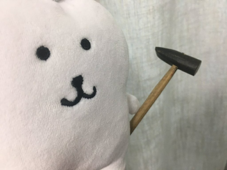 고양이편지 이미지