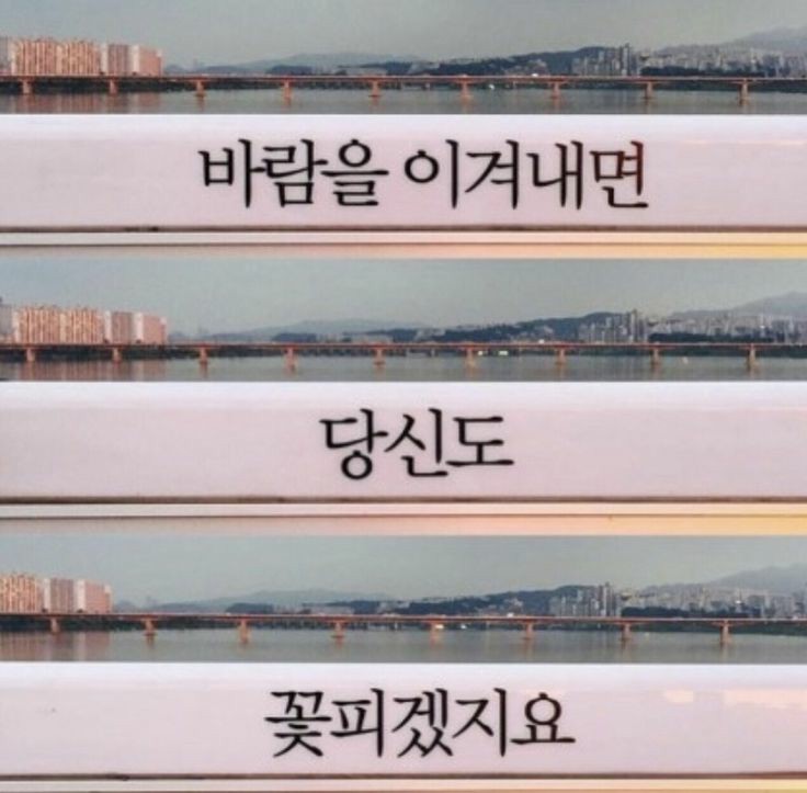 연세가정의학과의원 이미지