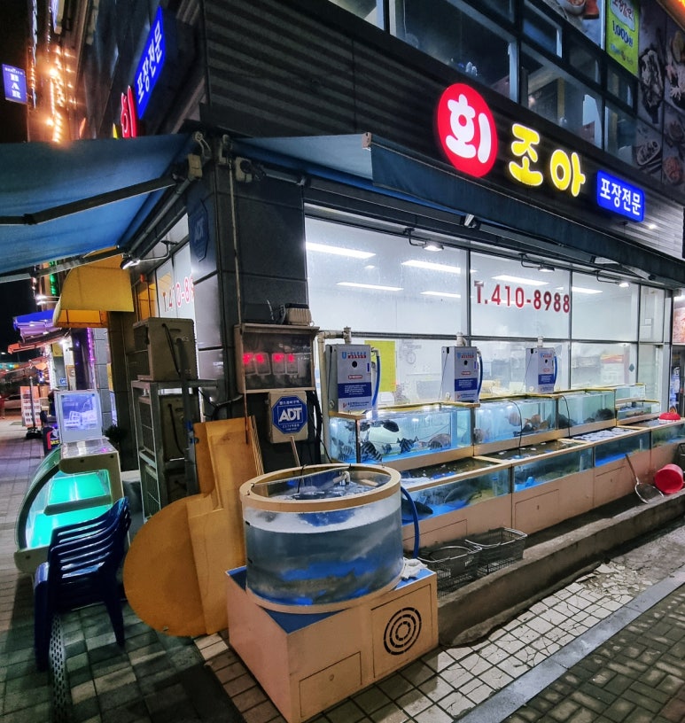 조아회 이미지