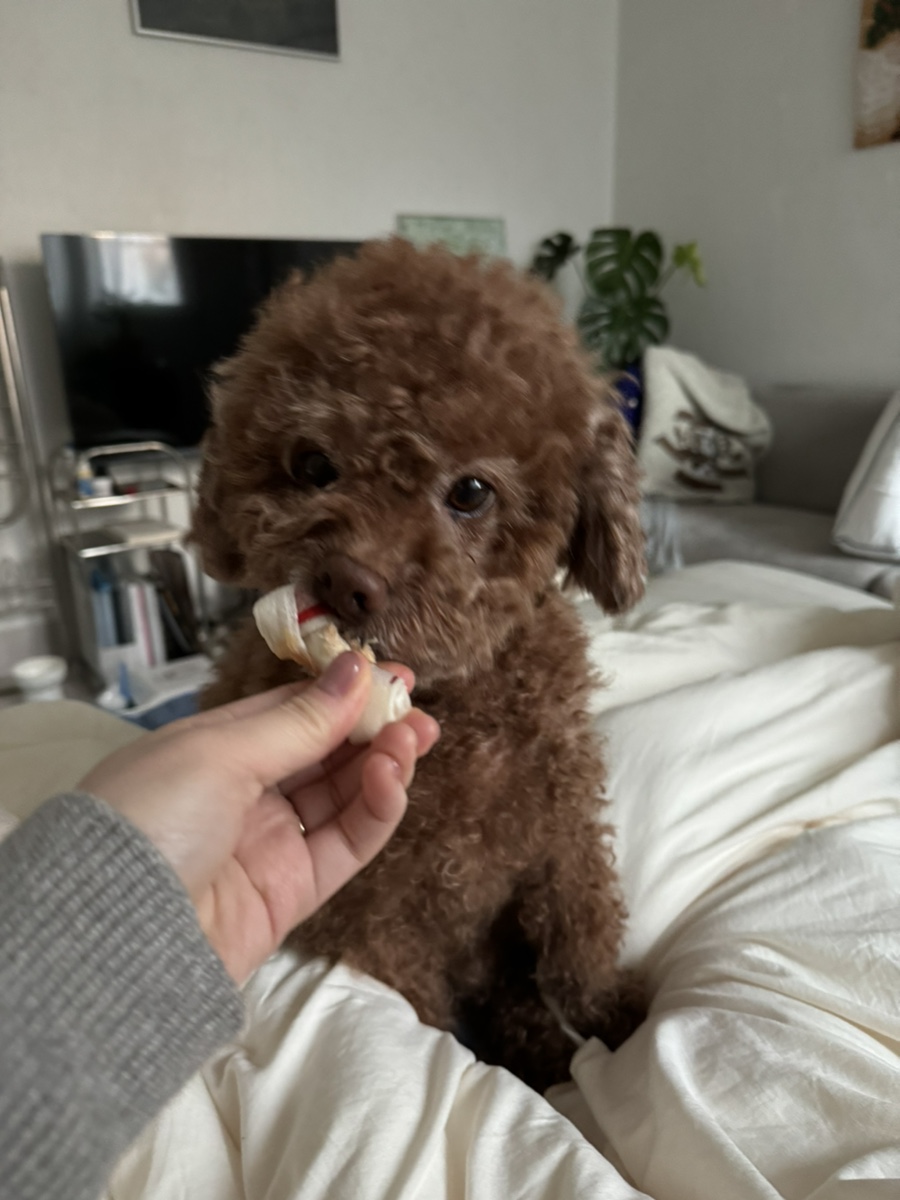 유즈네일스튜디오 이미지