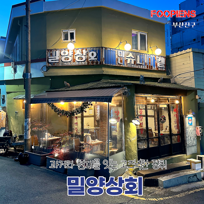 양정상회 이미지