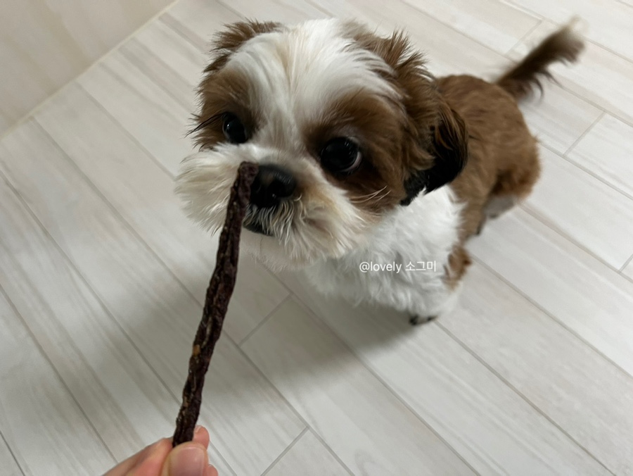 수제홀릭 이미지