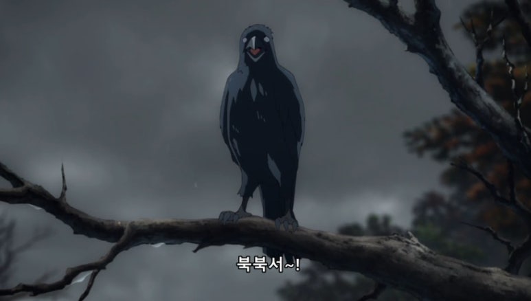 한아조 이미지