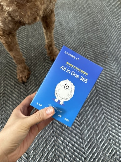 푸른종합개발 이미지
