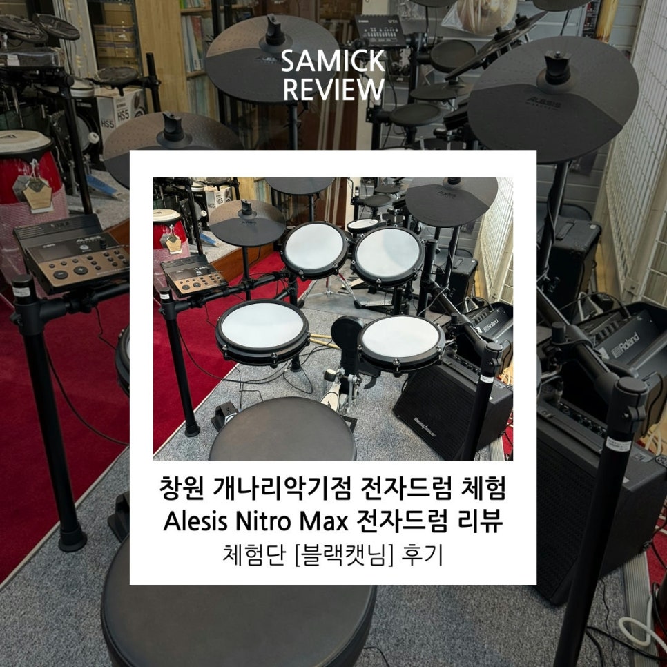 개나리악기점 이미지