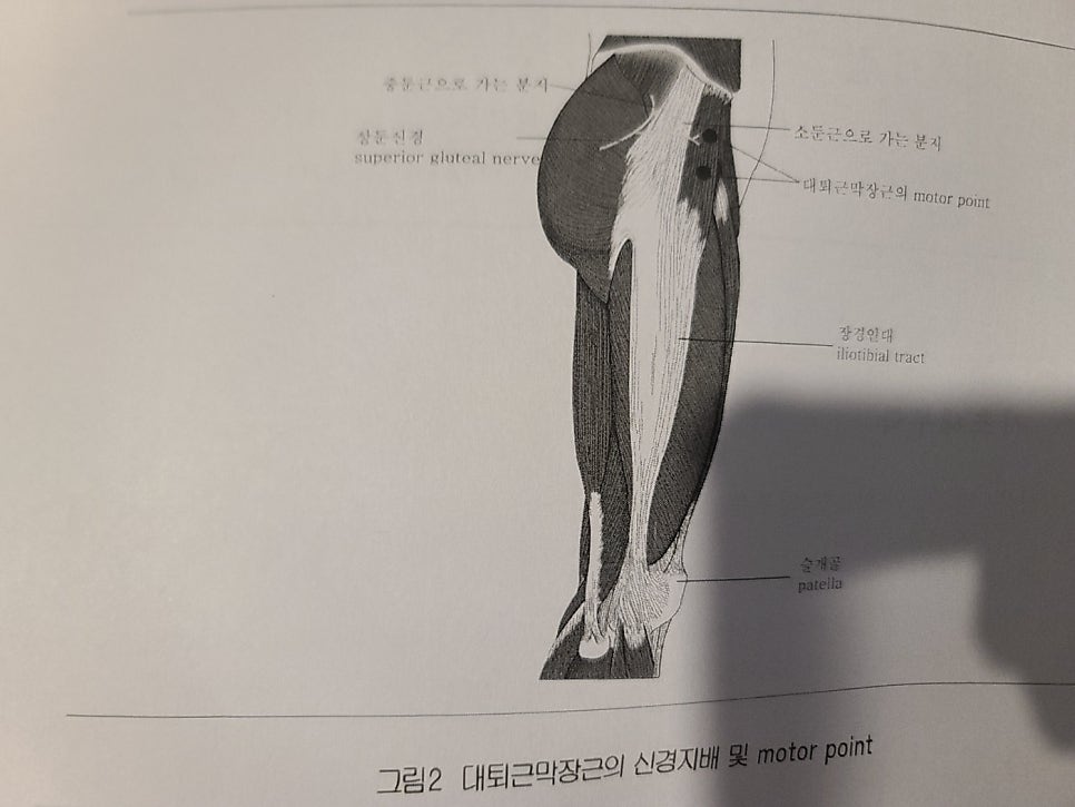 디디스포츠 이미지