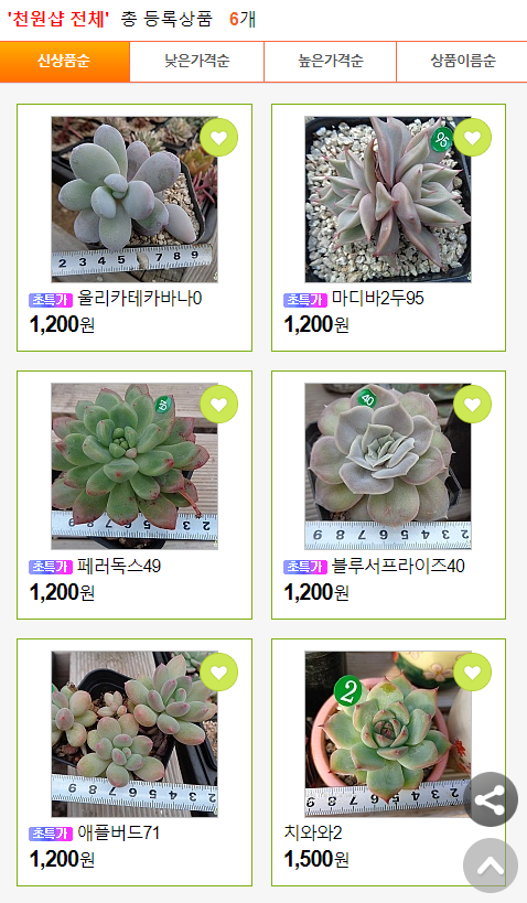천원샵 이미지