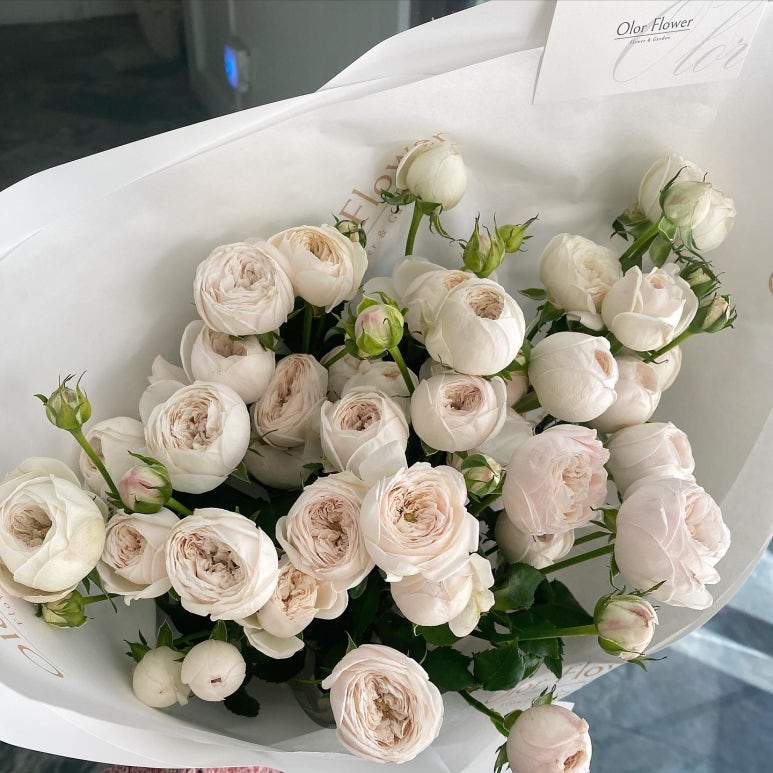 올로르플라워 Olor Flower 이미지