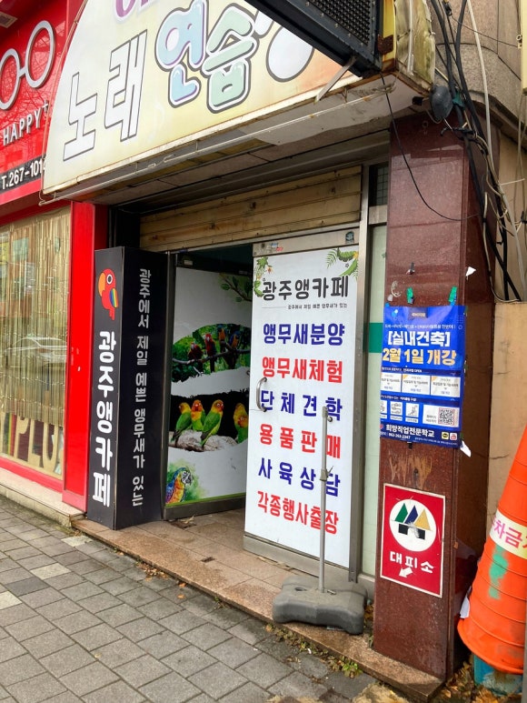 광주앵카페 이미지