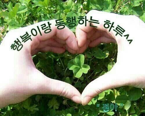 안산농협 연꽃지점 이미지