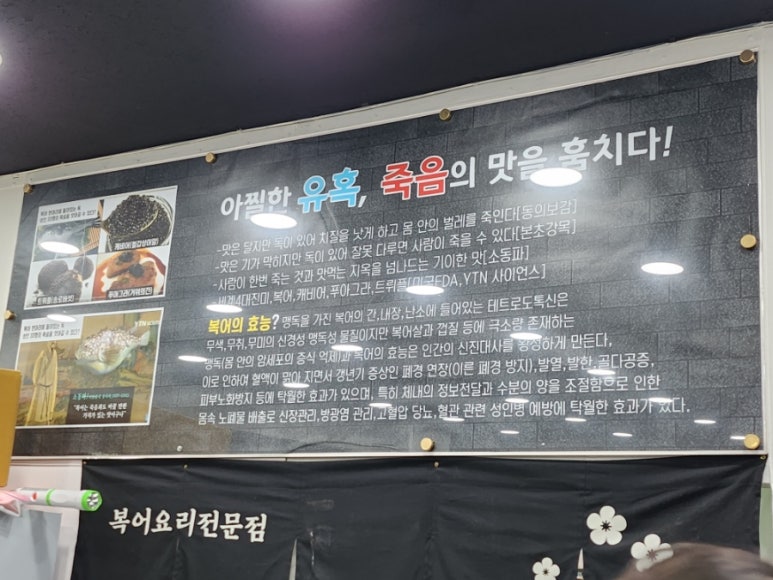 으뜸복어 이미지